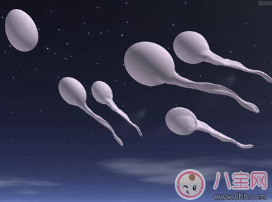 同房后“倒立”就可以懷上嗎 備孕期間有哪些誤區要注意
