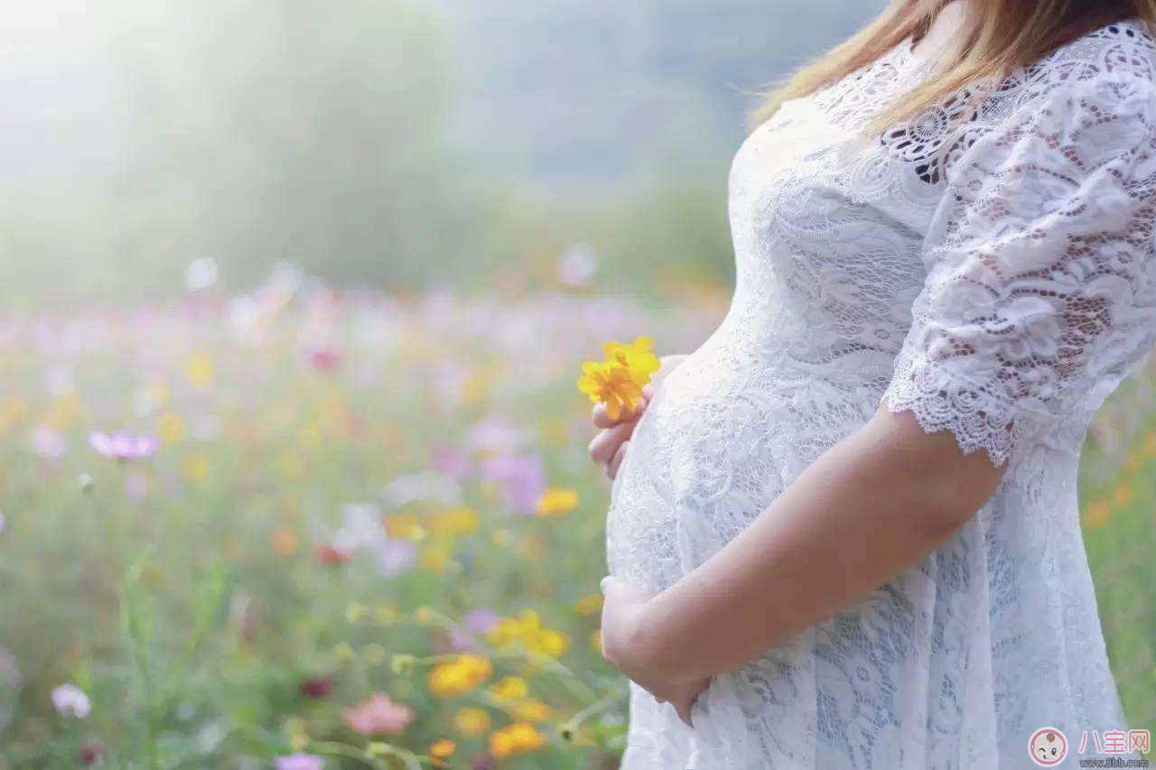 國慶節孕婦旅游應做好哪些準備？如何保障孕期出行安全