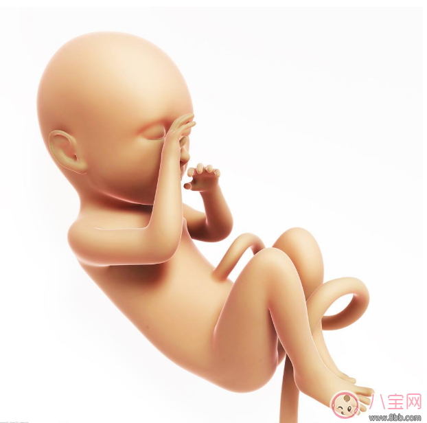 胎兒在肚子里哭能感覺到嗎 胎兒在準媽媽肚子變化