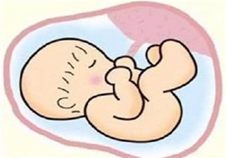 孕晚期胎的原因有哪些 孕晚期如何預防胎膜早破
