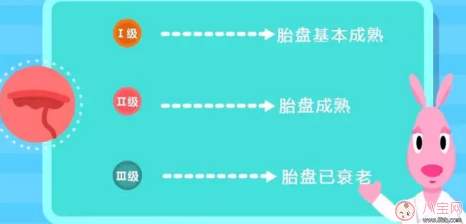 孕晚期補鈣會導致胎盤老化嗎 孕晚期補鈣會不會導致胎盤老化