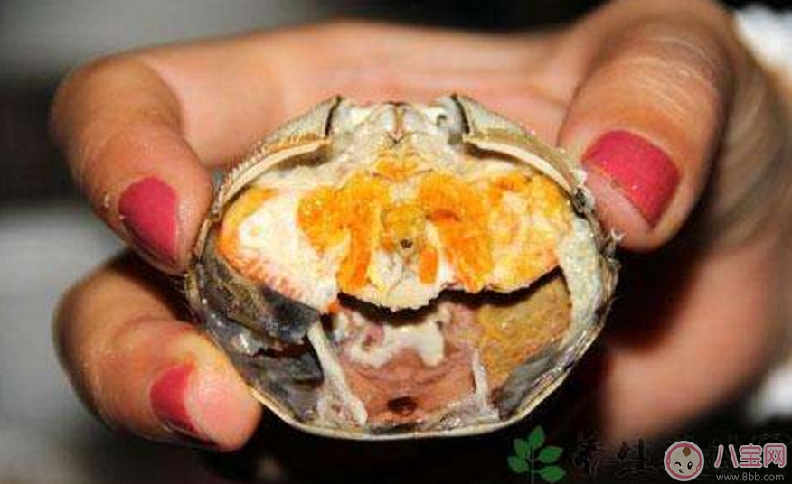 孕婦能吃螃蟹嗎 孕婦吃螃蟹會流產嗎(孕婦吃螃蟹注意事項)