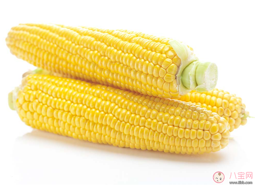 懷孕期間可以吃玉米嗎 懷孕怎么吃玉米