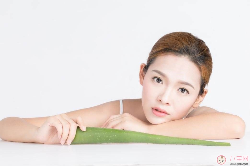 蘆薈美容功效多 產后正確使用更漂亮