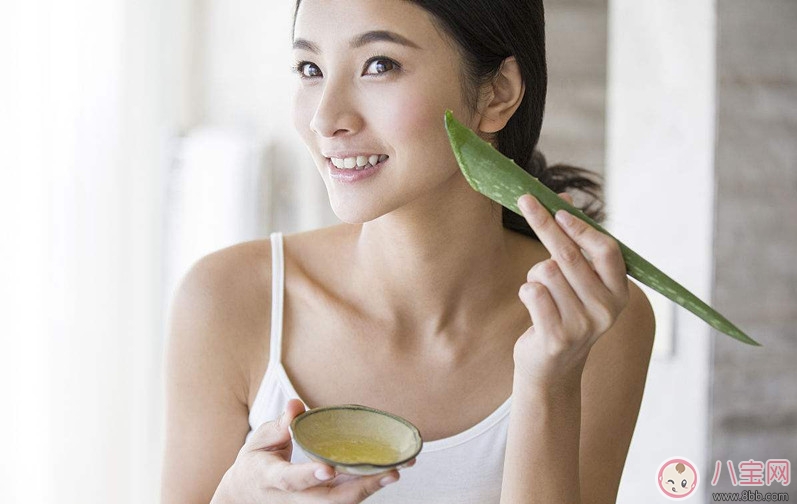 蘆薈美容功效多 產后正確使用更漂亮