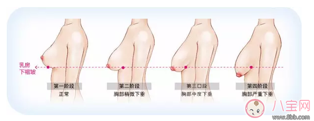 母乳喂養會造成胸部下垂 錯!真相其實是這樣