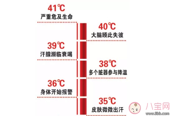 三伏天坐月子拒開空調捂出傷 為什么坐月子能捂出腦損傷