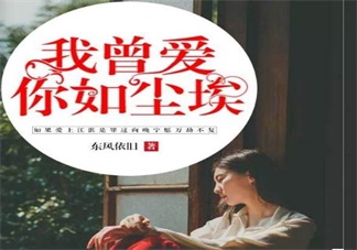 我曾愛你如塵埃章節目錄 我曾愛你如塵埃向晚在線閱讀