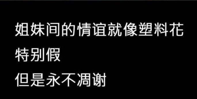 虛假的姐妹情誼表情包 友誼姐妹感情就像塑料花表情包無水印