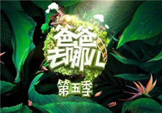《爸爸去哪兒》周杰倫女兒干爹劉畊宏是嘉賓 能看到周杰倫嗎？