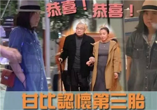 甘比承認懷第三胎 劉鑾雄66歲再當爸爸(男性生育能力持續到多大年齡)