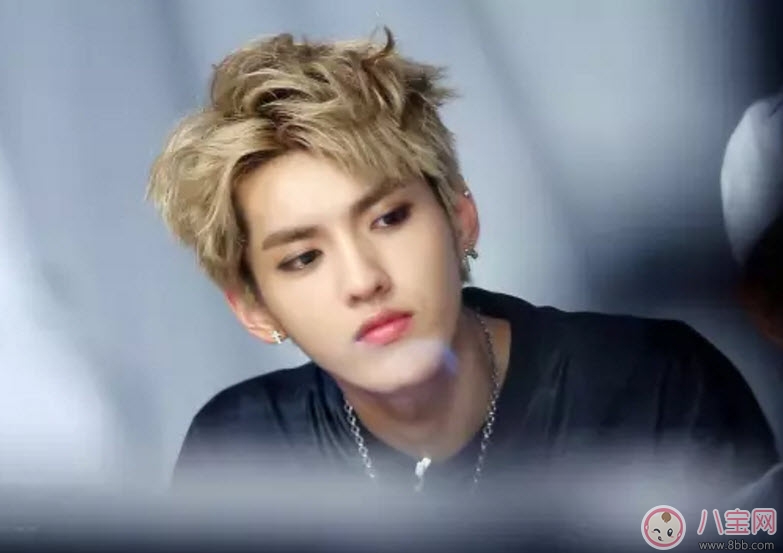 吳亦凡菠蘿頭發型圖片 2017吳亦凡發型圖片盤點