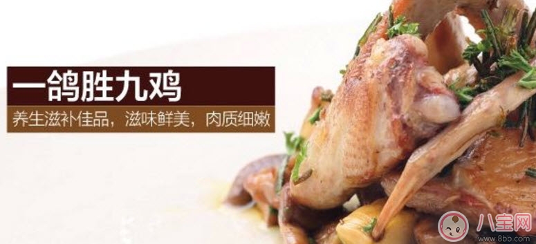 孕婦可以吃鴿子肉嗎 孕婦喝鴿子湯的營養好處