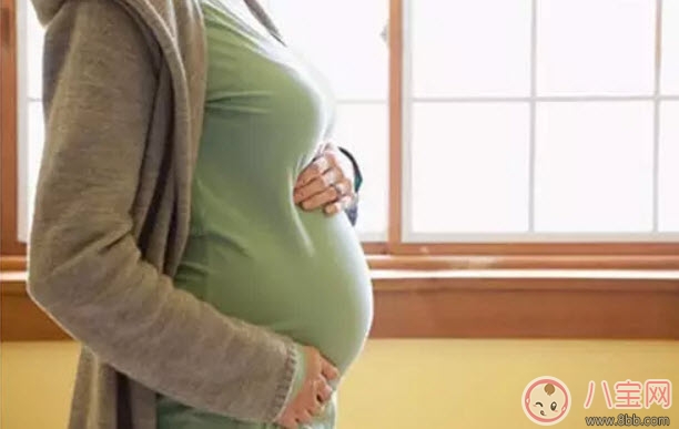 孕婦可以喝黃芪水嗎 紅棗北芪水孕婦能喝嗎