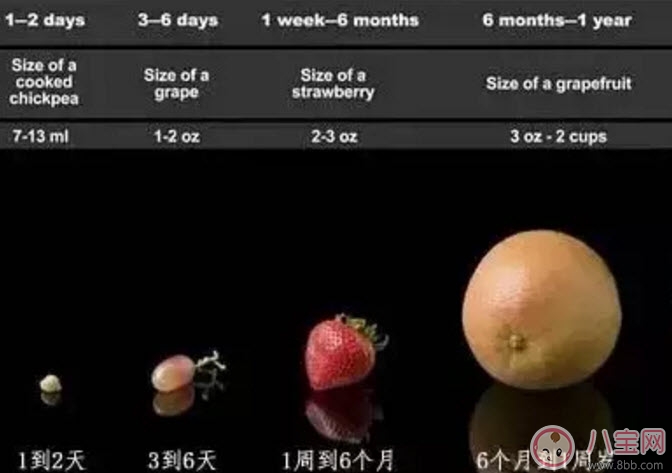 0-12月寶寶奶量標準 早產兒每日需要多少奶量