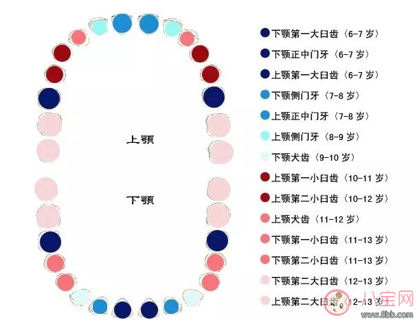 姐姐grace掉牙表情古怪 孩子什么時候掉牙最好