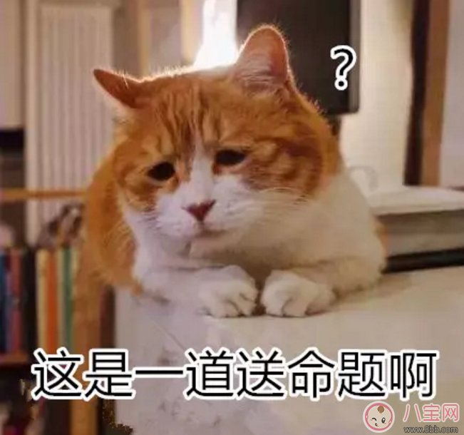 寶寶是熊孩子怎么辦？如何教育孩子不要妨礙他人呢？