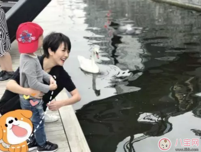 汪涵愛妻楊樂樂牽3歲小沐沐出行 國慶節出行小心孩子安全隱患