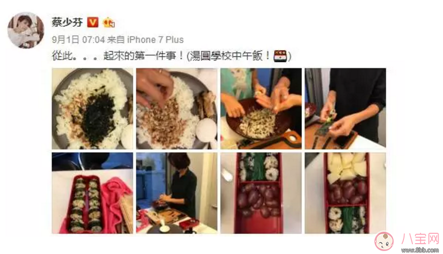 蔡少芬親手給娃做便當竟被噴 “病從口入”防線究竟在哪？