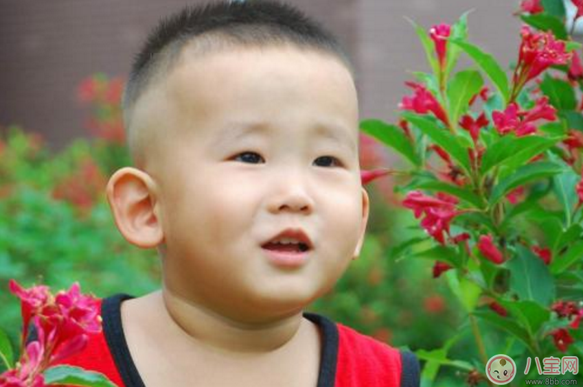 孩子膽小這樣做可以鍛煉膽子 勇敢的孩子氣質好