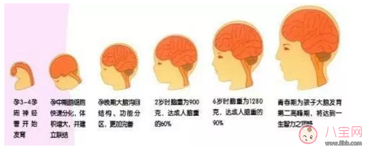 寶寶看電視的影響 如何規定寶寶看電視的時機