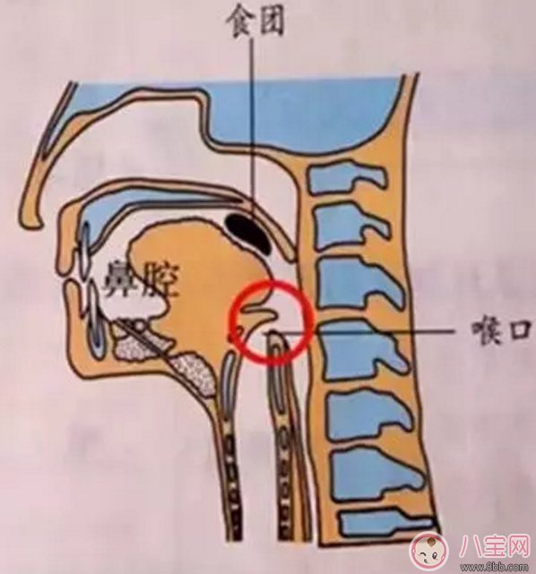 寶寶吃飯時爸爸的這個舉動 險些讓他送命！