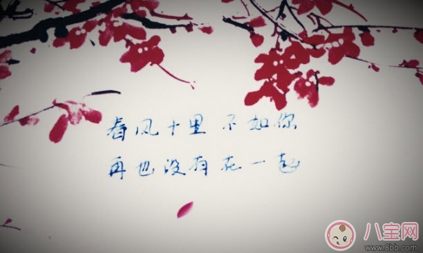 春風體是什么意思 春風十里不如你春風體挑戰