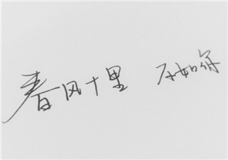 春風體是什么意思 春風十里不如你春風體挑戰