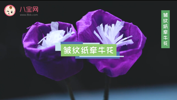 皺紋紙牽?；ㄒ曨l教程 皺紋紙牽?；ㄗ龇ú襟E