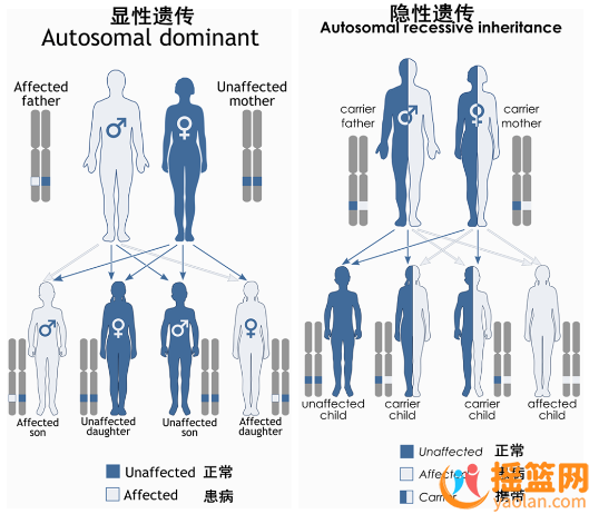 家族遺傳史：常染色體顯性遺傳病