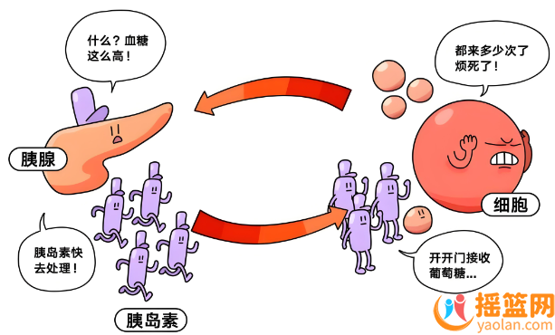 什么是胰島素抵抗？胰島素抵抗的原因