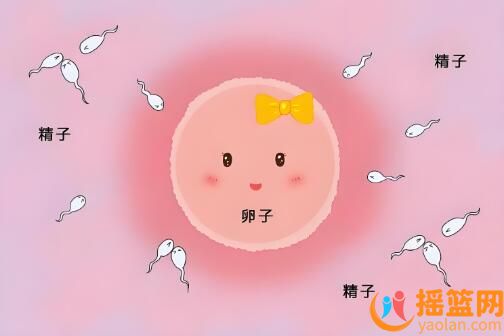 排卵期女性易察覺的3種跡象，把握時機“造人”成功率更高！