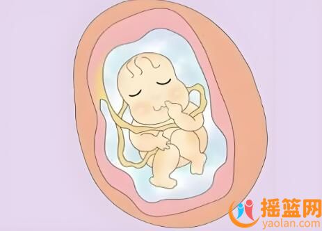 孕期警示：深入了解胎兒畸形的元兇！