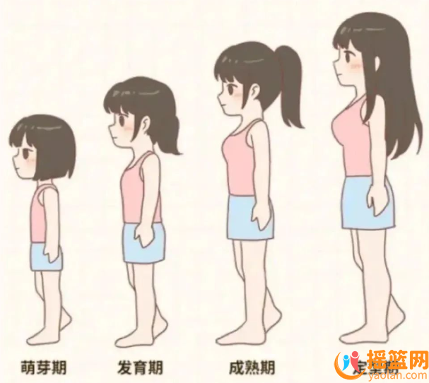 女寶乳房發育分幾個階段？你家寶貝在哪個階段?