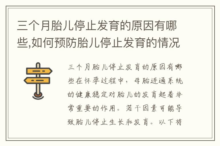 三個月胎兒停止發育的原因有哪些,如何預防胎兒停止發育的情況