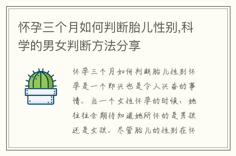 懷孕三個月如何判斷胎兒性別,科學的男女判斷方法分享