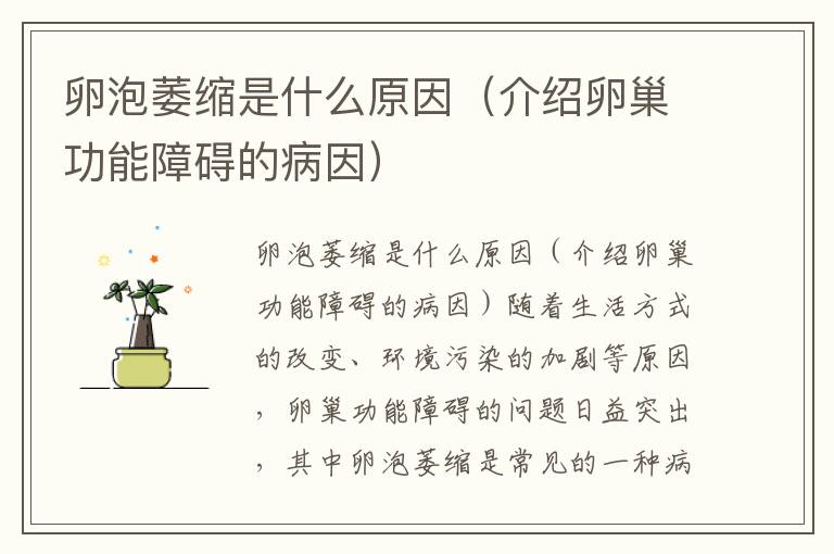 卵泡萎縮是什么原因（介紹卵巢功能障礙的病因）