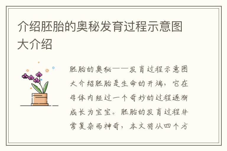 介紹胚胎的奧秘發育過程示意圖大介紹