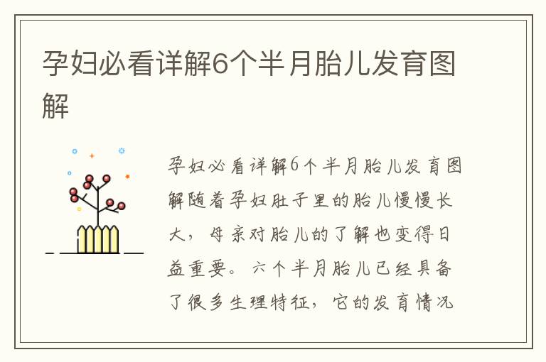 孕婦必看詳解6個半月胎兒發育圖解