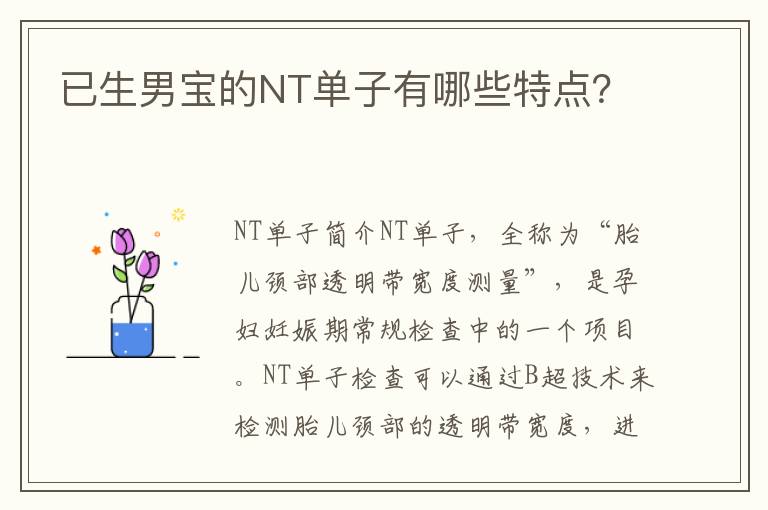 已生男寶的NT單子有哪些特點？