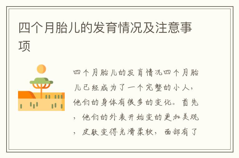四個月胎兒的發育情況及注意事項