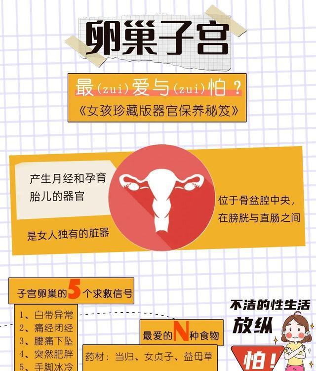 孕前排毒的最佳時間和方法_排卵前飲食助孕的方法是什么_排卵促孕食物