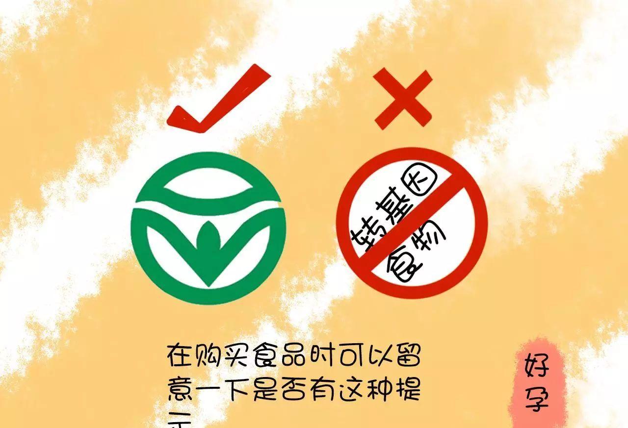 孕前飲食可以多吃哪些食物_孕前能吃什么_飲食食物孕前吃可以嗎