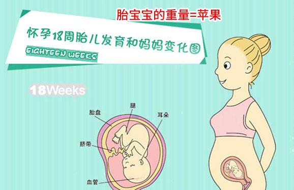 孕前注意哪些事項_事項飲食孕前注意有哪些_孕前飲食注意事項都有哪些