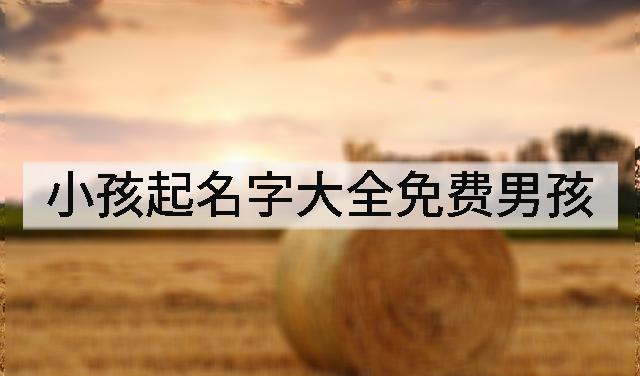 小孩起名字晨字大全免費_晨字取名字大全男孩_晨字取名吉利嗎