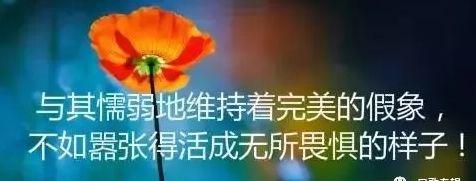 小三的苦沒有人知道是什么歌_歌詞小三的苦沒人知道_小三的苦沒有人知道什么歌