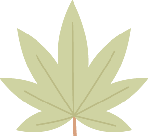 清澈的小河輕輕流淌_清澈的小河緩緩流淌歌名_清澈的小河靜靜流淌是什么歌