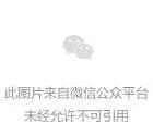 音樂是唱歌嗎_音樂嗚嗚嗚嗚是什么歌_音樂是啥呀