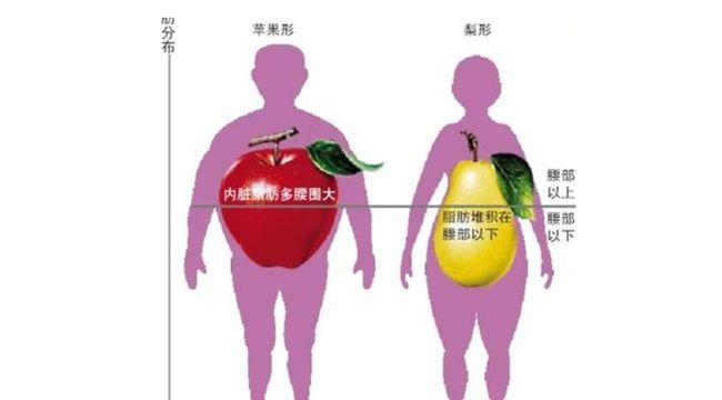 懷孕后飲食發生改變_孕前和孕后飲食變化大嗎_懷孕前后飲食差別不大