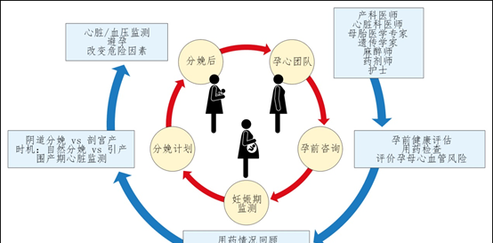 孕前飲食管理團隊方法_孕前飲食怎么調理